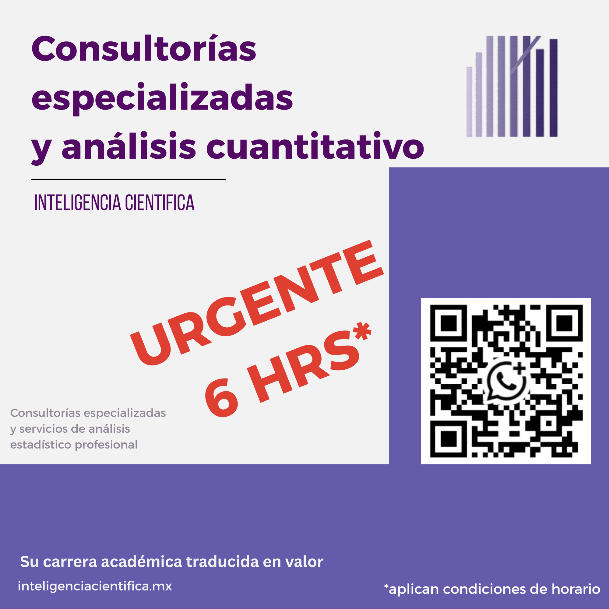 Consultoría especializada